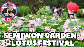 Live from Semiwon Garden Lotus Festival Walkthrough [upl. by Oludoet]