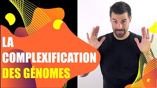 COURS DE TERMINALE SPÉCIALITÉ SVT  CHAP3 LA COMPLEXIFICATION DES GÉNOMES Bio Logique [upl. by Illa]