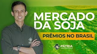 MERCADO DA SOJA  PRÊMIOS NO BRASIL [upl. by Faunia]