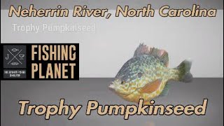 Fishing Planet Trophy Pumpkinseed Neherrin River North Carolina [upl. by Jodee]