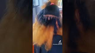 Dread locks hairspring hairstyler music song cover lyrics stylist stylingtools hairstyle [upl. by Fassold]