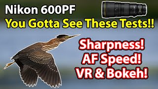 Nikon 600 PF Tests amp Comparisons Sharpness AF Speed Bokeh VR Focus Breathing And More [upl. by Deva]