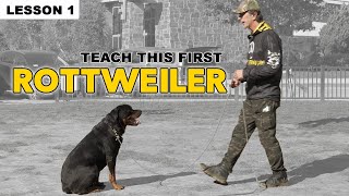 First Things to Teach Your Rottweiler  Dog Training [upl. by Salema]