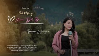 Tandin Wangmo  Hindi Mash up Teaser [upl. by Raseta955]