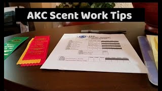 Tips for First AKC Scent Work Trial [upl. by Hardy]