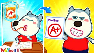 Examen Scolaire  Facile  Wolfoo Histoires Drôles Sur Les Tours De Magie 🎉 Collection Dépisodes [upl. by Onej]