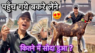 Finally❗️Phunch Gye Bakre Lene Jama Masjid Bakra Mandi Souda Sasta Hua Ya Mehenga  trending [upl. by Ahsenahs]