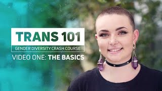 Trans 101  The Basics [upl. by Darton168]