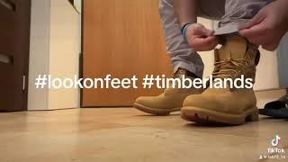 Timberlands 6 inch premium boots water proof  look on feet [upl. by Donall]