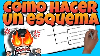 📚 Cómo HACER un ESQUEMA paso a paso [upl. by Aldus]