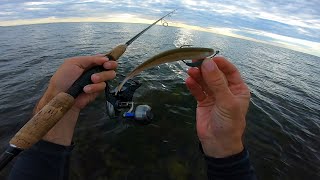 My favorite kinda fishing Light Tackle Surf Fishing for Striped Bass [upl. by Brout]