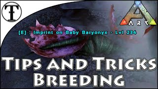 Fast Breeding and Egg Hatching Guide  Ark  Survival Evolved Tips and Tricks [upl. by Dorita]