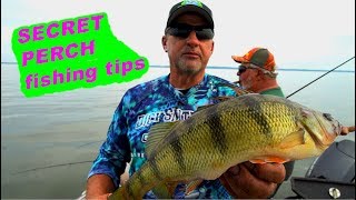 How to catch MidSummer JUMBO PERCH [upl. by Lynelle]