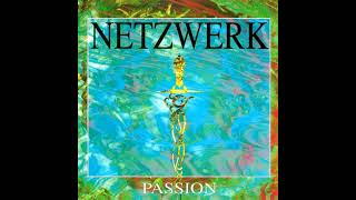 Netzwerk  PassionBorealis Mix 1995 [upl. by Slrahc]