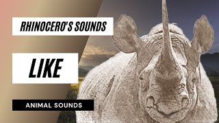 Rhinoceross Sounds Like  the animal sounds rhinoceross sounds  sound effect  animation [upl. by Ellenid759]