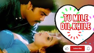 Tu Mile Dil Khile  Kumar Sanu Alka Yagnik  Criminal  Nagarjuna Akkin Manisha Koirala  Saregama [upl. by Krishna721]