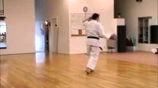 YARA GWA TUNFA  OKINAWAN KARATE CLUB OF DALLAS [upl. by Vharat336]