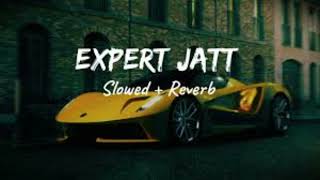 EXPERT JATT  NAWAB Official Video Mista Baaz  Echo Waves  Lofi song [upl. by Stets923]