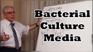 Bacterial Culture Media  مزارع البكتريا المستنبتات [upl. by Akinajnat]