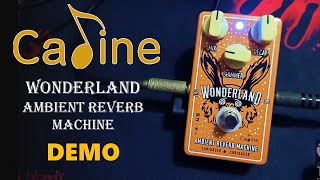 CALINE WONDERLAND AMBIENT REVERB MACHINE DEMO [upl. by Horvitz]