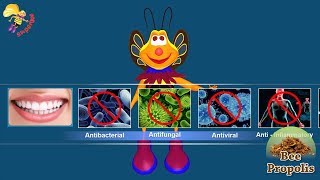 दांतों के लिए प्रोपोलिस टूथपेस्ट से बेहतर कुछ नहीं [upl. by Anihpled26]