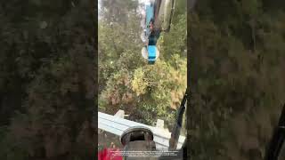 Install Three Circular Saw Blades On Excavator To Trim Rosdside Trees Easily [upl. by Karlee778]