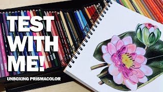 Testing Prismacolor Premier 🌺150 colors🌺unboxing [upl. by Munafo]