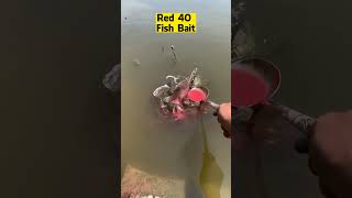 🎣 Red 40 Fish Bait Review  Get Ready to Dominate Fishing with Red Bait [upl. by Giarg722]