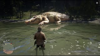 Red Dead Redemption 2  Chased by a giant alligator [upl. by Annola848]