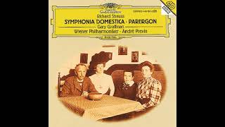 Richard Strauss Parergon on Symphonia Domestica for Piano quotLeft Handquot and Orchestra Op73 1925 [upl. by Ahern]