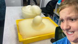 Science experiment elephants toothpaste AT SCHOOL [upl. by Gudrin]