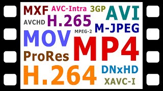 Explaining Digital Video Formats Codecs amp Containers [upl. by Vander]