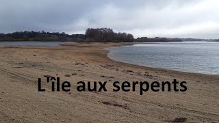 lile aux serpents lac de Pareloup lac trailcam [upl. by Benis353]