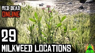 Red Dead Redemption 2 Online  MILKWEED LOCATIONS [upl. by Caiaphas]