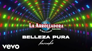 DiegoTheEquestriaGirlsFan2007 La Arrolladora Banda El Limón  Belleza Pura Karaoke [upl. by Alel]