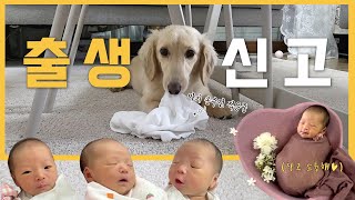 이제 우리는 진짜 가족입니다 👨‍👩‍👧‍👦 아기이름짓기amp출생신고 브이로그 [upl. by Shaughnessy]