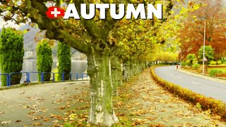 Switzerland Gersau Autumn Ambience in a Village That Feels Like Home A relaxing Swiss village [upl. by Devi]