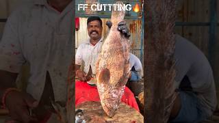 HAMOUR FISH CUTTING SKILLS fishcutting kasimedu shorts [upl. by Pleione960]