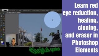 Learn Photoshop Elements  Lesson 4 [upl. by Kittie]