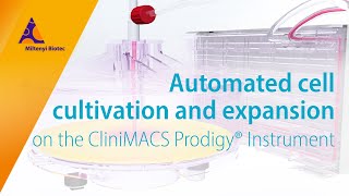 Cell cultivation and expansion on the CliniMACS Prodigy® [upl. by Anileme934]