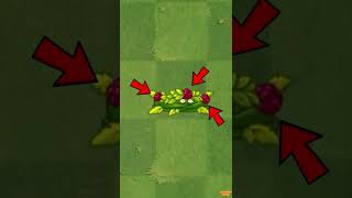 PRUEBO A LA ZARZAMORA EN PLANTS VS ZOMBIES 2 [upl. by Barrus]