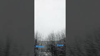 Winter 2024 Atak zimy poland snow winter shorts [upl. by Naitsirk]