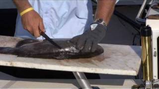 The BEST Way to Fillet Catfish [upl. by Odinevneib]