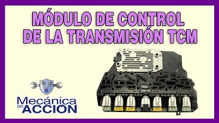 ¿Qué es el Módulo de Control de la Transmisión o TCM [upl. by Arelus]