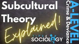 Subcultural Theory Explained  Crime and Deviance  ALevels  Sociology  Revision [upl. by Aicilif]