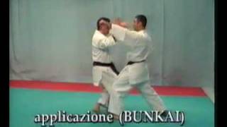 WKF  BASSAI SHO  BUNKAI [upl. by Franklyn]