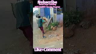 Tumkur City Dog Miss Catch  Dog Barking sound dog shorts streetdog dogwithpublicsafety [upl. by Annawahs]