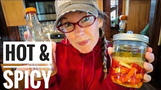 Making Fermented Pepper HOT Sauce [upl. by Lyndel713]