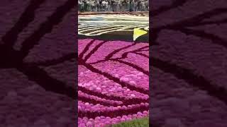 Flower festival in Belgium [upl. by Nyvar]