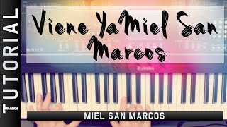 Viene Ya Miel San Marcos  Piano Tutorial  Omar Diaz [upl. by Behnken]